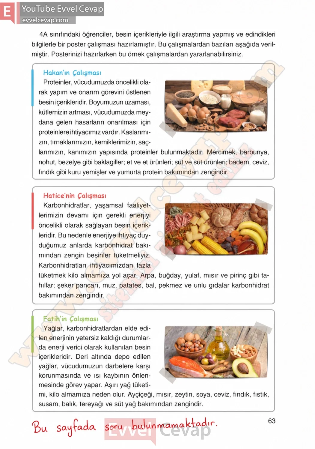 4-sinif-fen-bilimleri-ders-kitabi-cevaplari-adim-adim-yayincilik-sayfa-63-2026