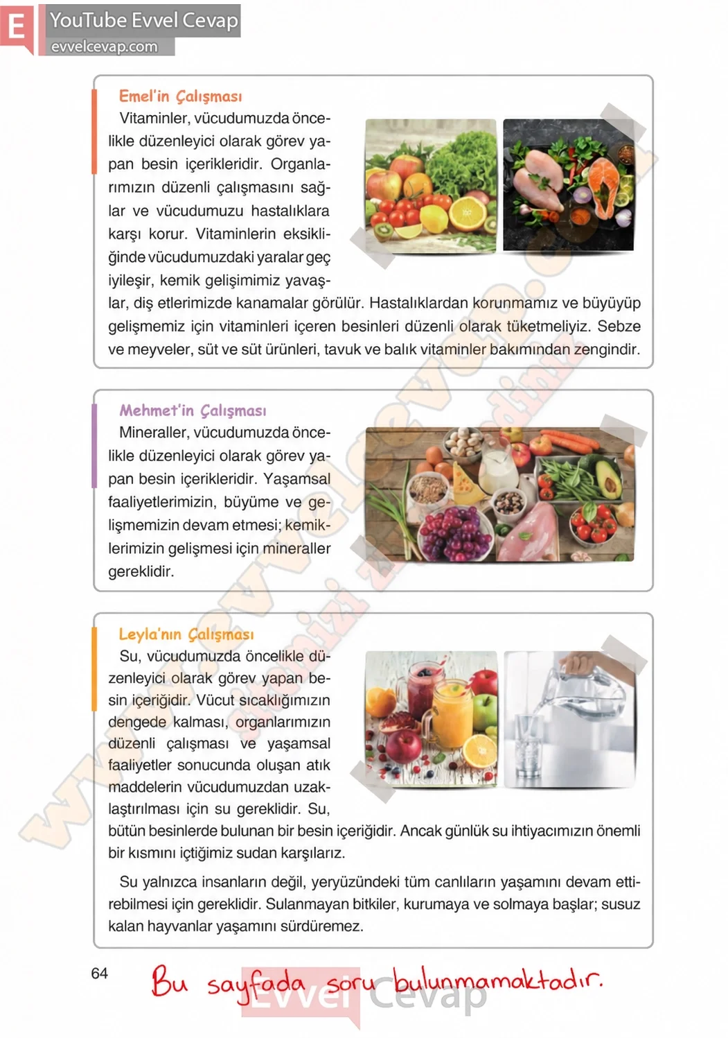 4-sinif-fen-bilimleri-ders-kitabi-cevaplari-adim-adim-yayincilik-sayfa-64-2026