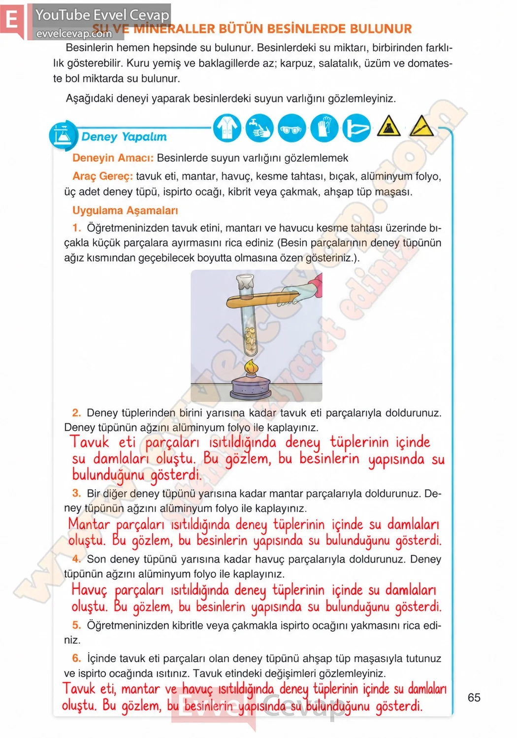 4-sinif-fen-bilimleri-ders-kitabi-cevaplari-adim-adim-yayincilik-sayfa-65-2026