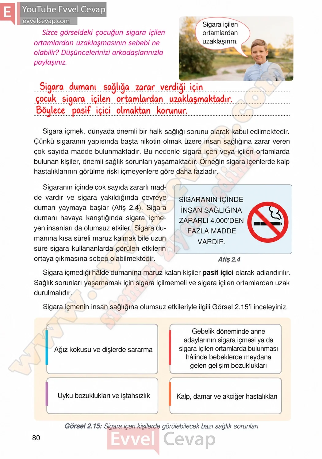 4-sinif-fen-bilimleri-ders-kitabi-cevaplari-adim-adim-yayincilik-sayfa-80-2026