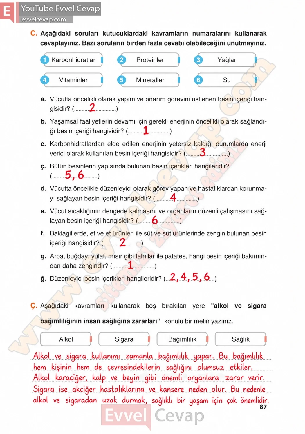 4-sinif-fen-bilimleri-ders-kitabi-cevaplari-adim-adim-yayincilik-sayfa-87-2026