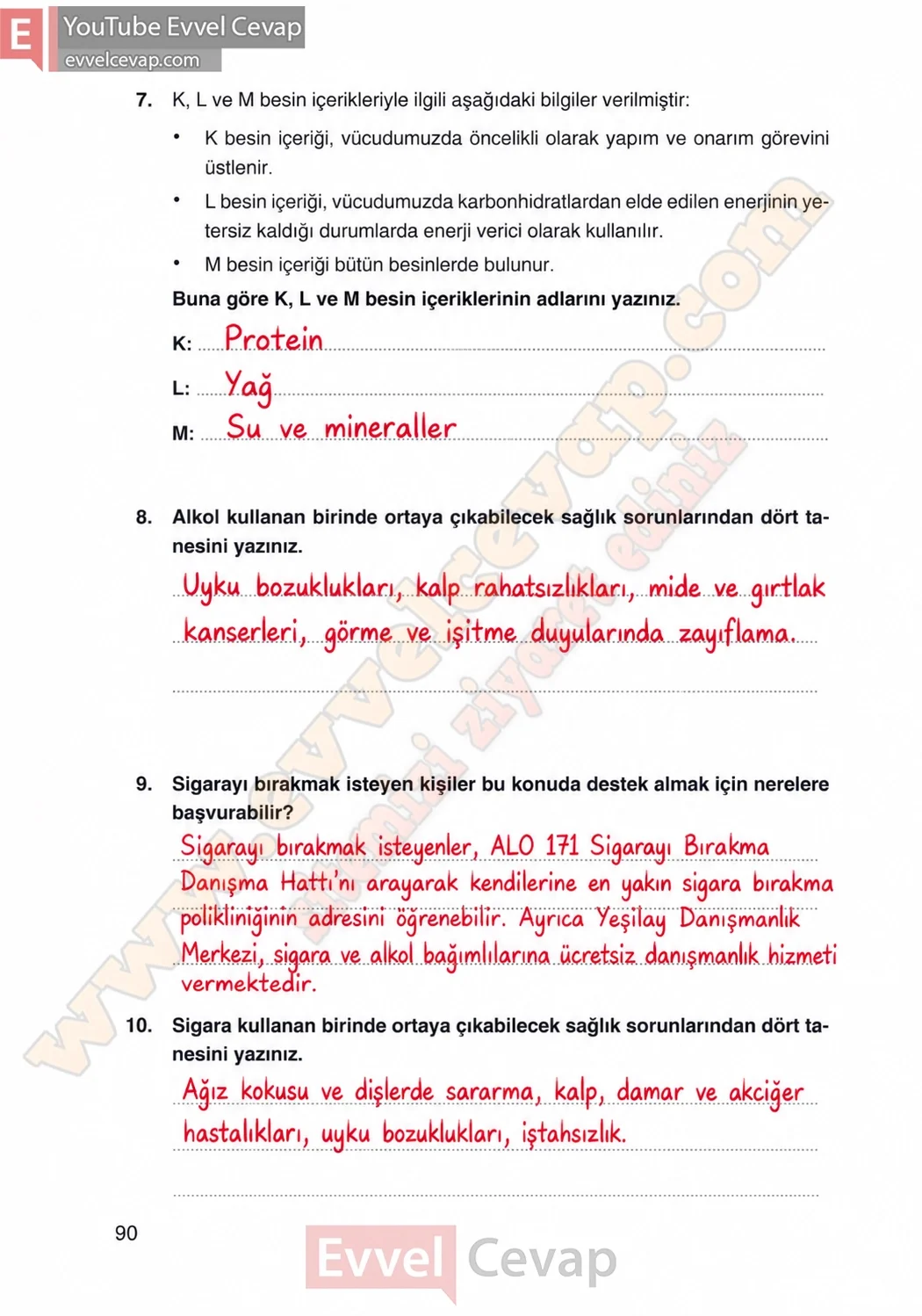 4-sinif-fen-bilimleri-ders-kitabi-cevaplari-adim-adim-yayincilik-sayfa-90-2026