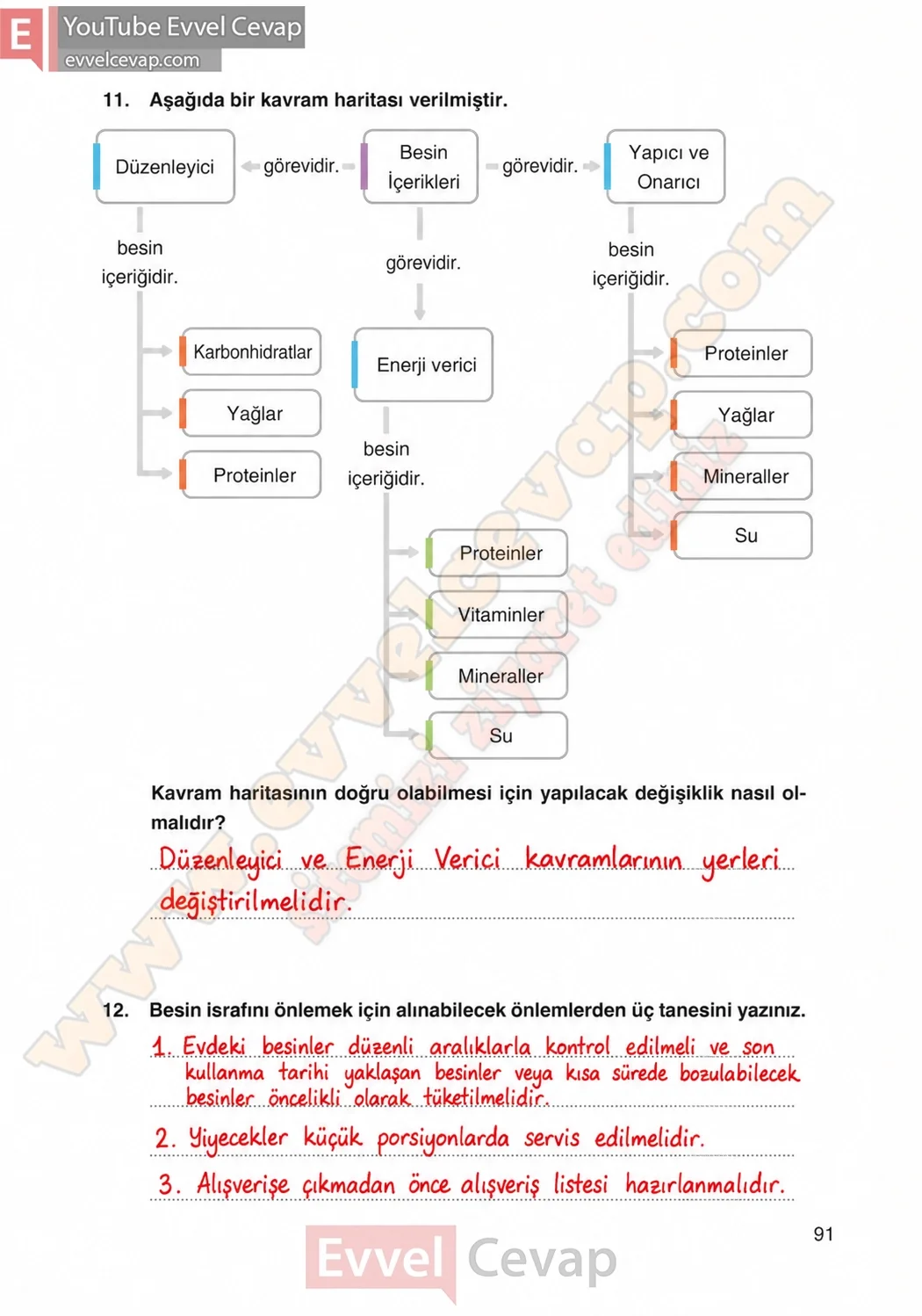 4-sinif-fen-bilimleri-ders-kitabi-cevaplari-adim-adim-yayincilik-sayfa-91-2026