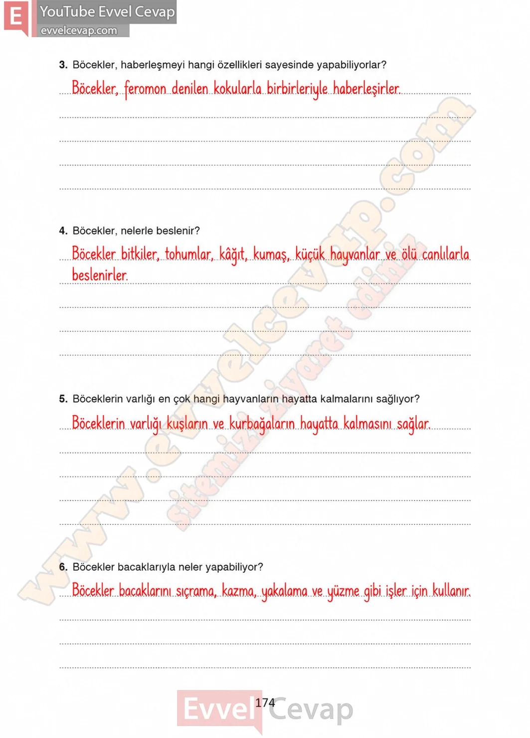 4-sinif-turkce-ders-kitabi-cevaplari-ada-matbaacilik-yayinlari-sayfa-174