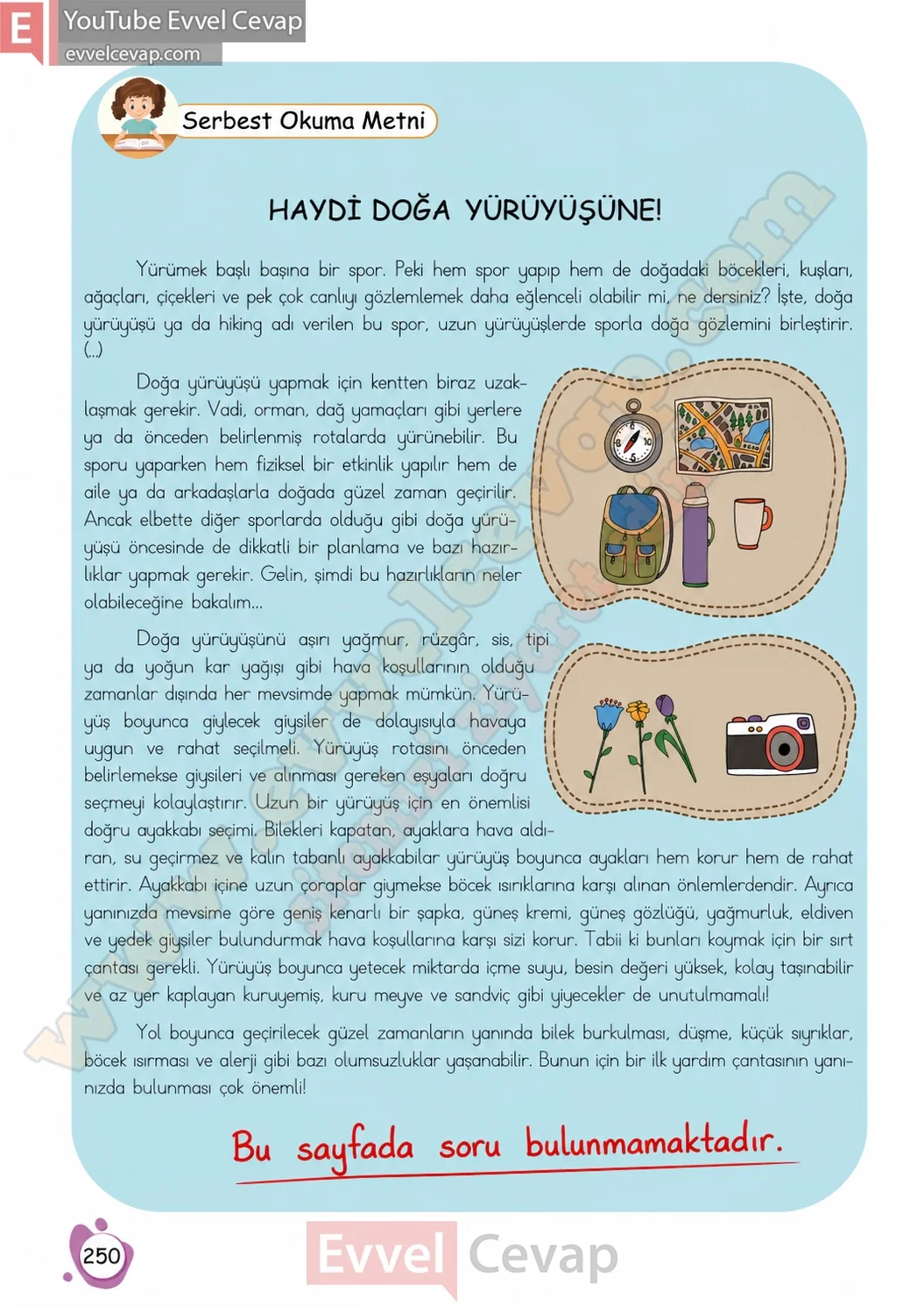 4-sinif-turkce-ders-kitabi-cevaplari-meb-yayinlari-sayfa-250-2026