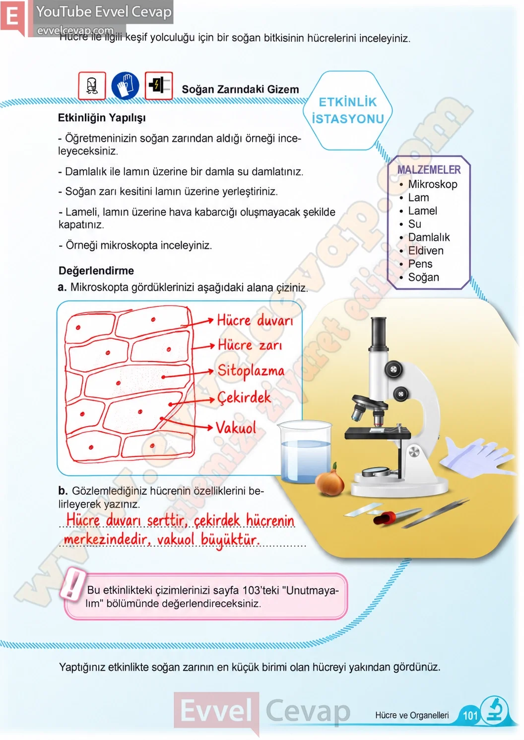 5-sinif-fen-bilimleri-ders-kitabi-cevaplari-meb-yayinlari-1-kitap-sayfa-101-2026