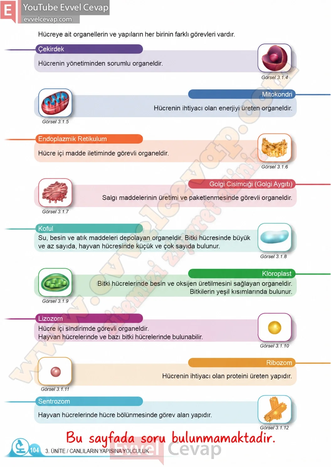 5-sinif-fen-bilimleri-ders-kitabi-cevaplari-meb-yayinlari-1-kitap-sayfa-104-2026
