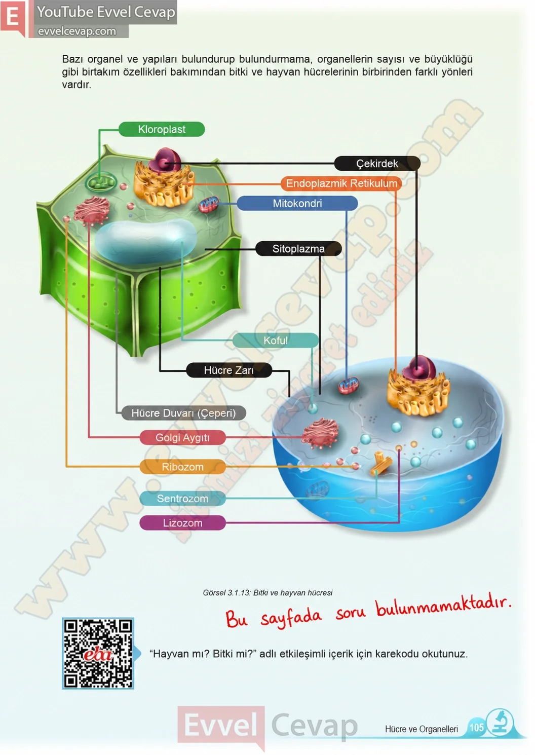 5-sinif-fen-bilimleri-ders-kitabi-cevaplari-meb-yayinlari-1-kitap-sayfa-105-2026