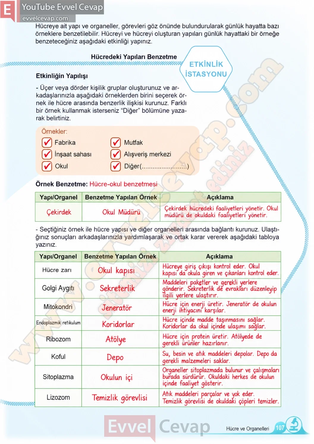 5-sinif-fen-bilimleri-ders-kitabi-cevaplari-meb-yayinlari-1-kitap-sayfa-107-2026
