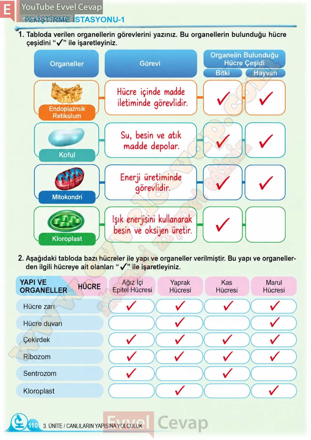 5-sinif-fen-bilimleri-ders-kitabi-cevaplari-meb-yayinlari-1-kitap-sayfa-110-2026