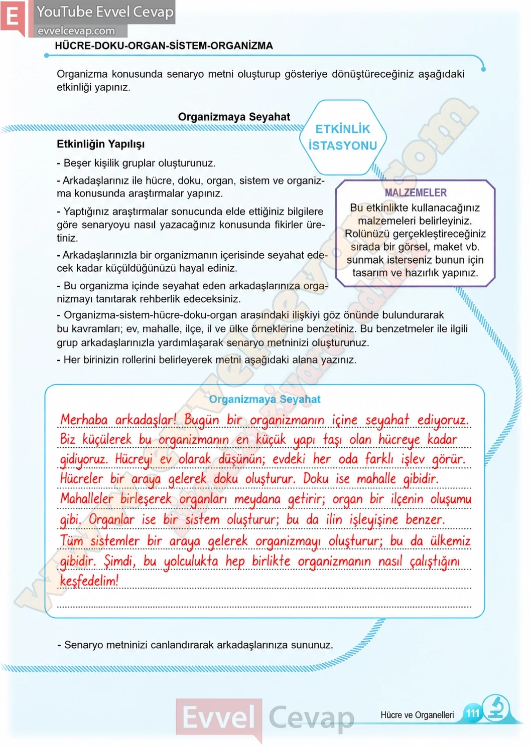 5-sinif-fen-bilimleri-ders-kitabi-cevaplari-meb-yayinlari-1-kitap-sayfa-111-2026
