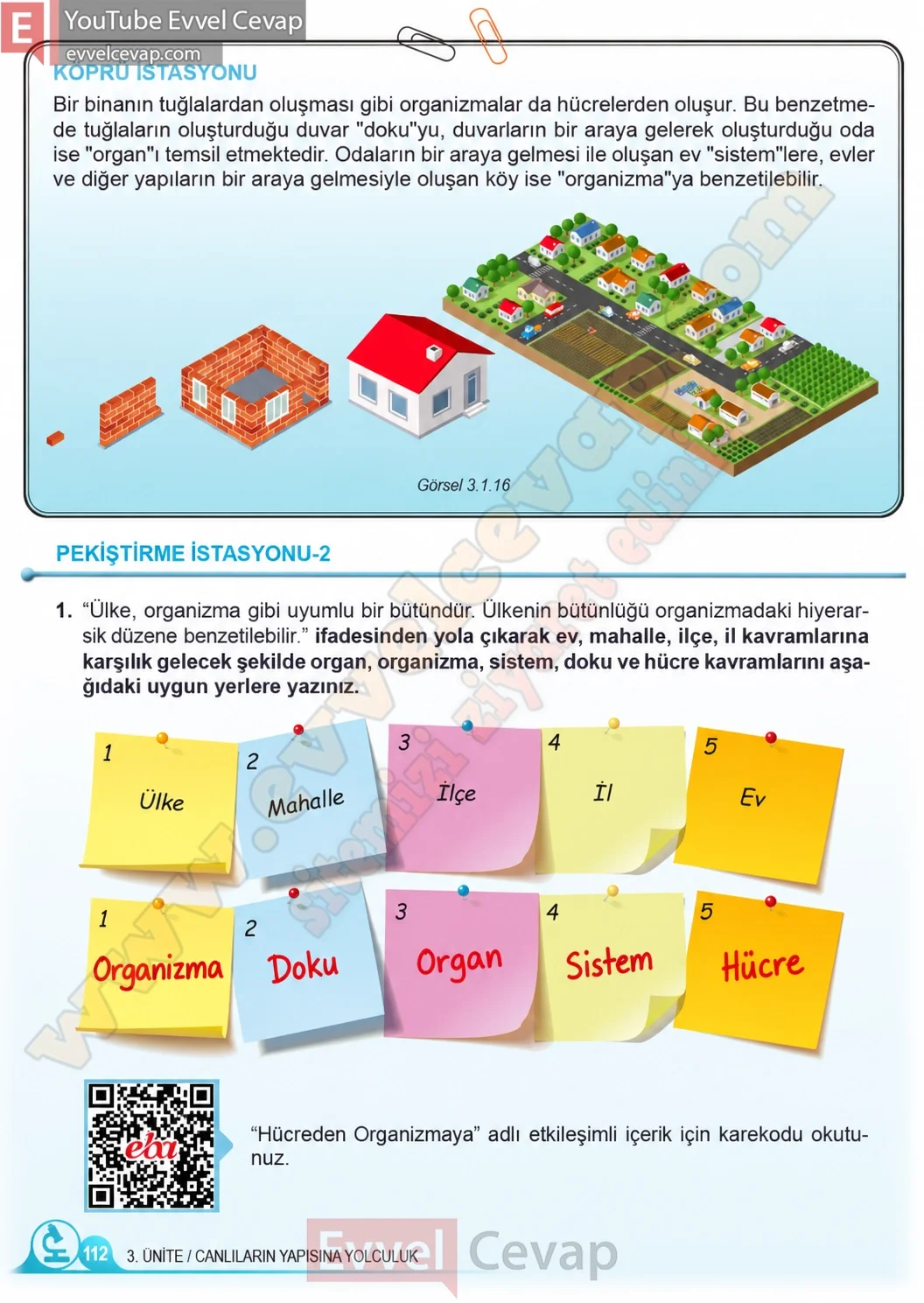5-sinif-fen-bilimleri-ders-kitabi-cevaplari-meb-yayinlari-1-kitap-sayfa-112-2026