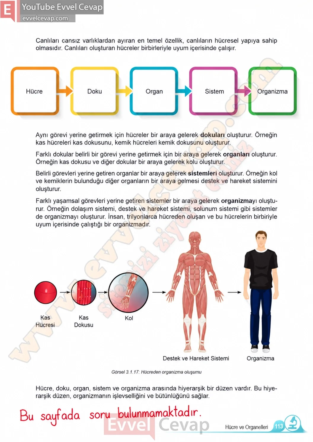 5-sinif-fen-bilimleri-ders-kitabi-cevaplari-meb-yayinlari-1-kitap-sayfa-113-2026