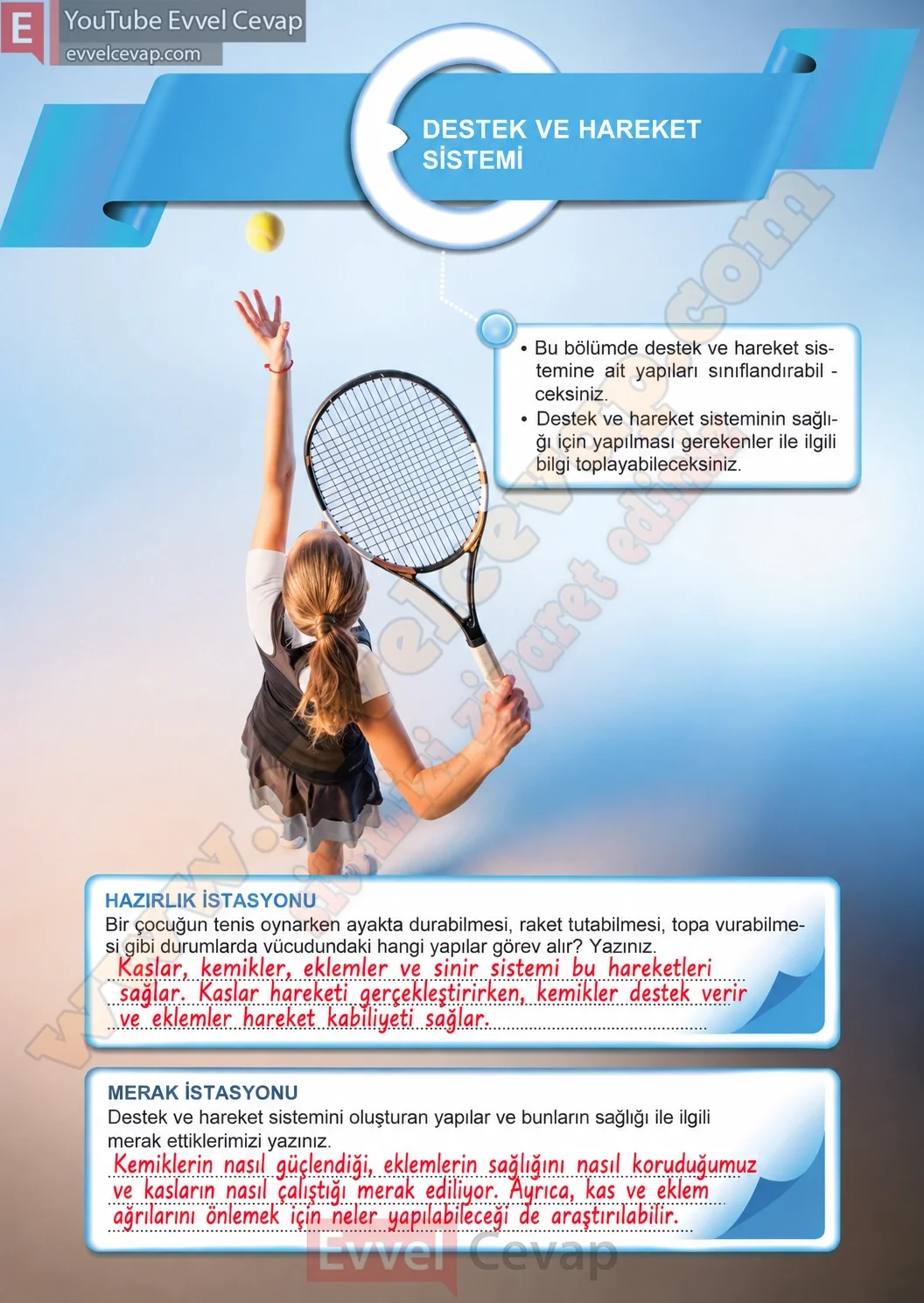 5-sinif-fen-bilimleri-ders-kitabi-cevaplari-meb-yayinlari-1-kitap-sayfa-116-2026