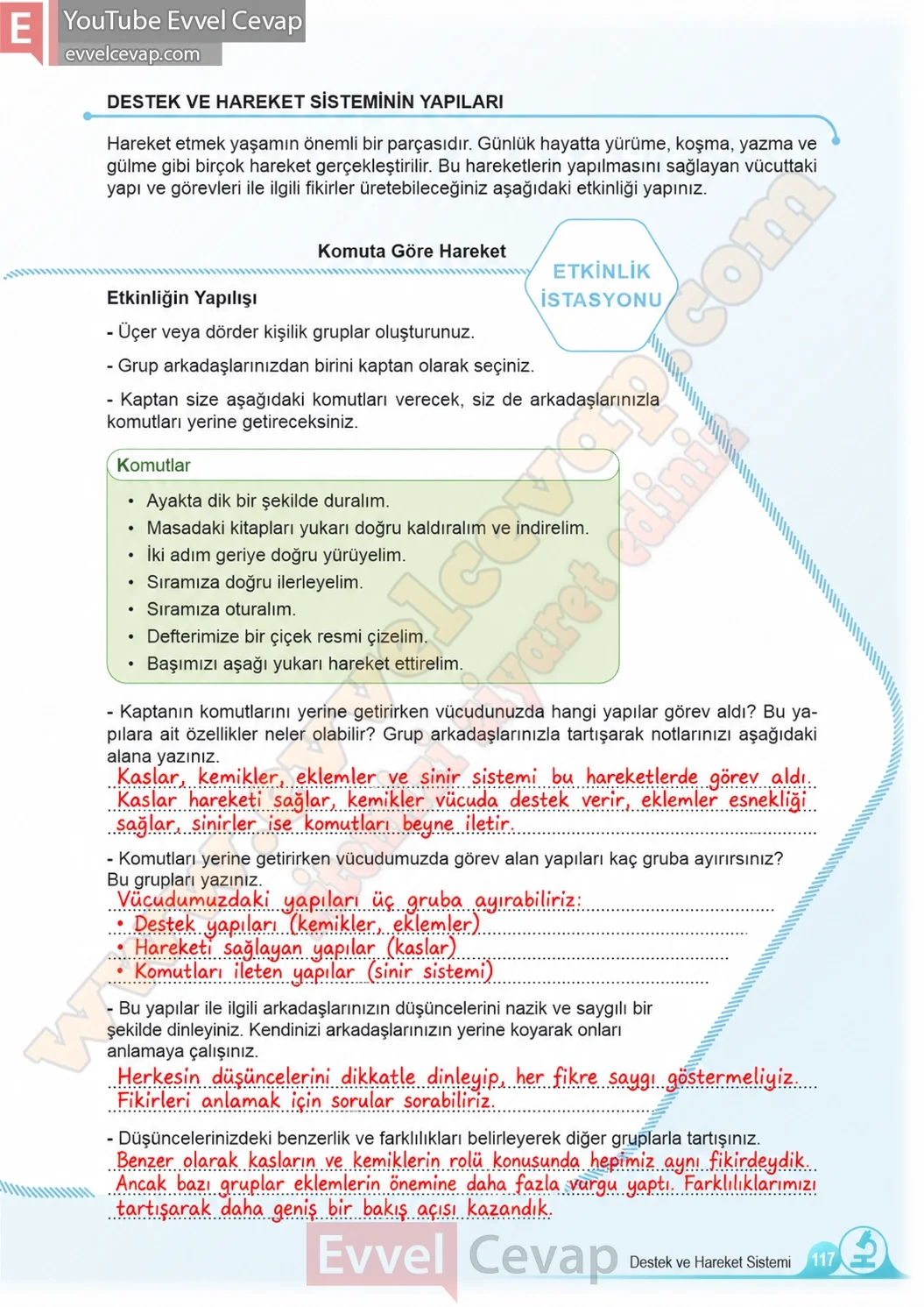5-sinif-fen-bilimleri-ders-kitabi-cevaplari-meb-yayinlari-1-kitap-sayfa-117-2026