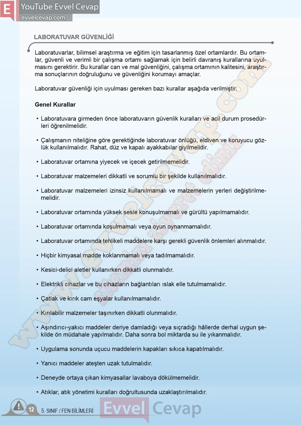 5-sinif-fen-bilimleri-ders-kitabi-cevaplari-meb-yayinlari-1-kitap-sayfa-12-2026
