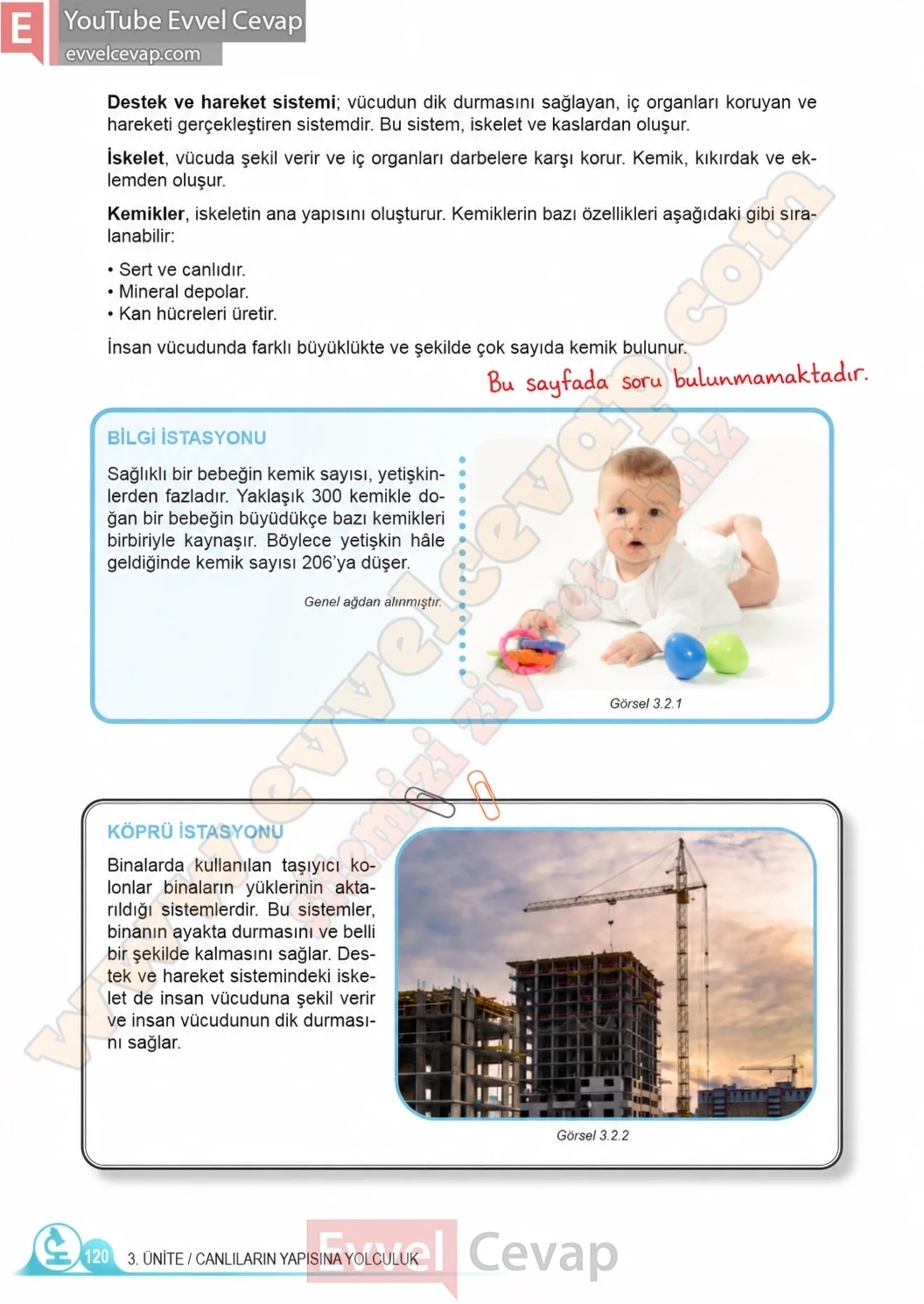 5-sinif-fen-bilimleri-ders-kitabi-cevaplari-meb-yayinlari-1-kitap-sayfa-120-2026