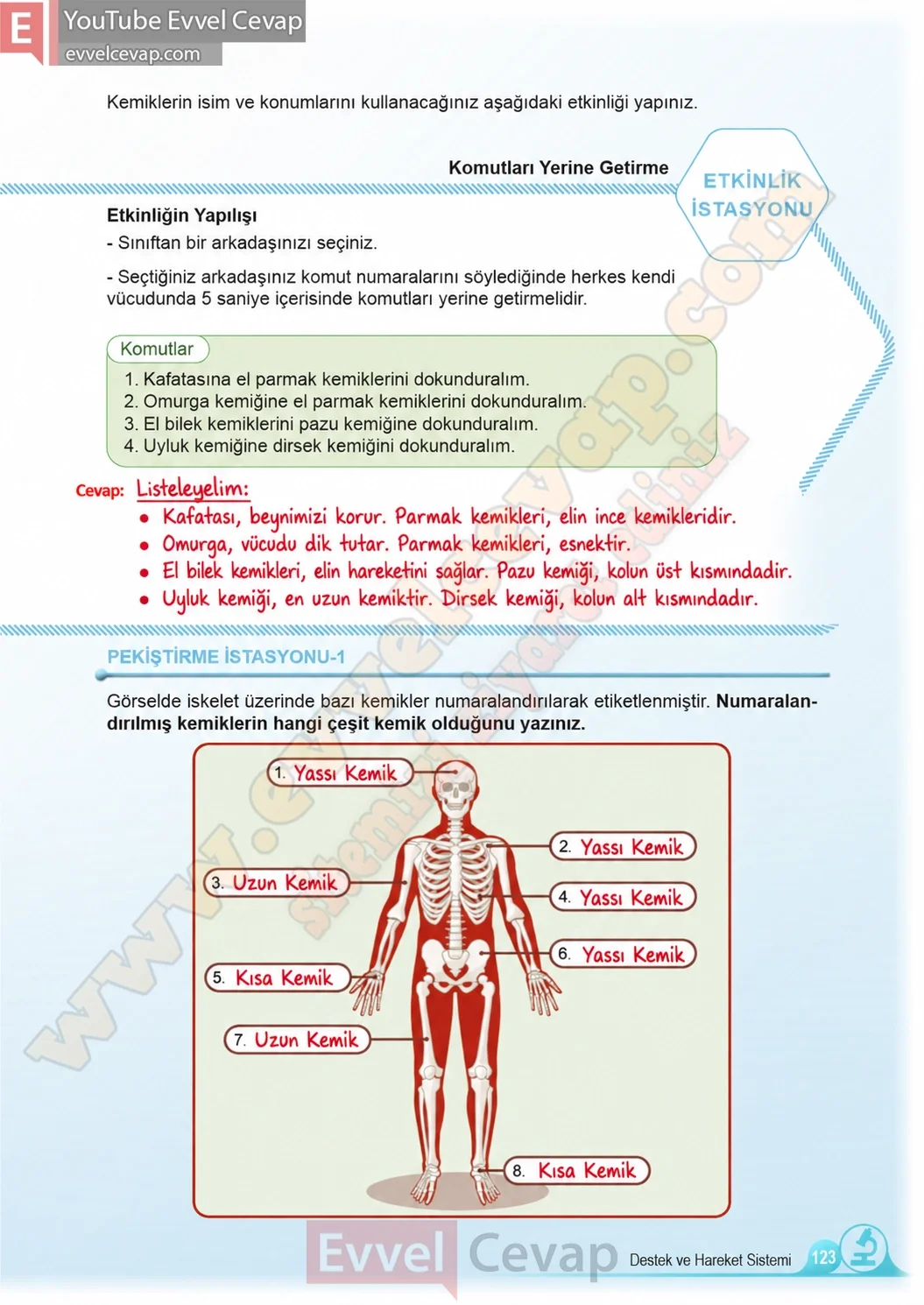 5-sinif-fen-bilimleri-ders-kitabi-cevaplari-meb-yayinlari-1-kitap-sayfa-123-2026