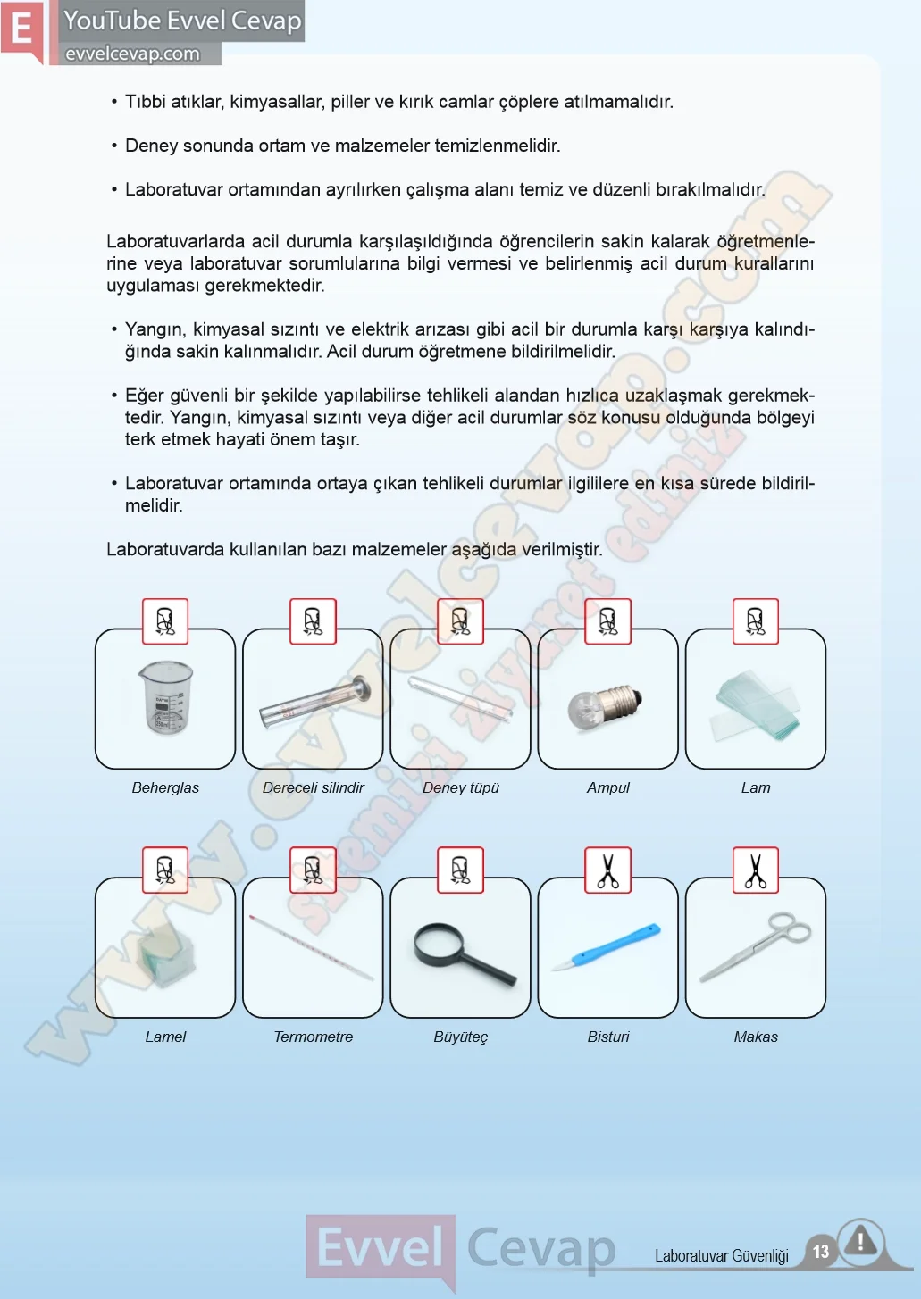 5-sinif-fen-bilimleri-ders-kitabi-cevaplari-meb-yayinlari-1-kitap-sayfa-13-2026