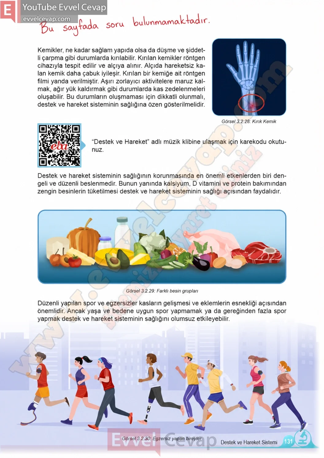 5-sinif-fen-bilimleri-ders-kitabi-cevaplari-meb-yayinlari-1-kitap-sayfa-131-2026