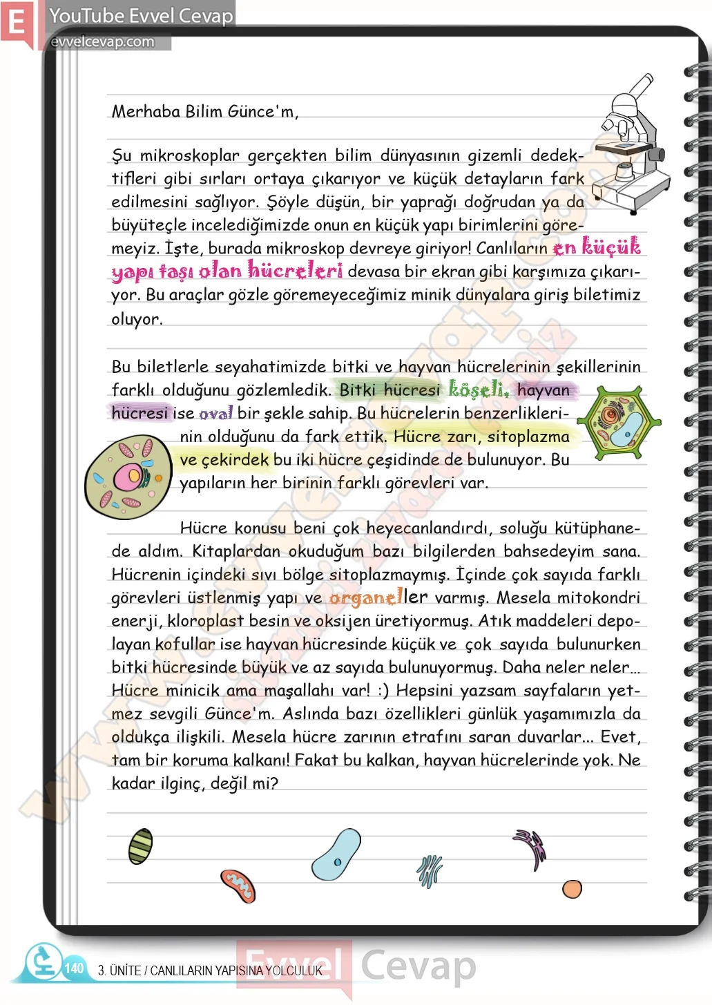 5-sinif-fen-bilimleri-ders-kitabi-cevaplari-meb-yayinlari-1-kitap-sayfa-140-2026