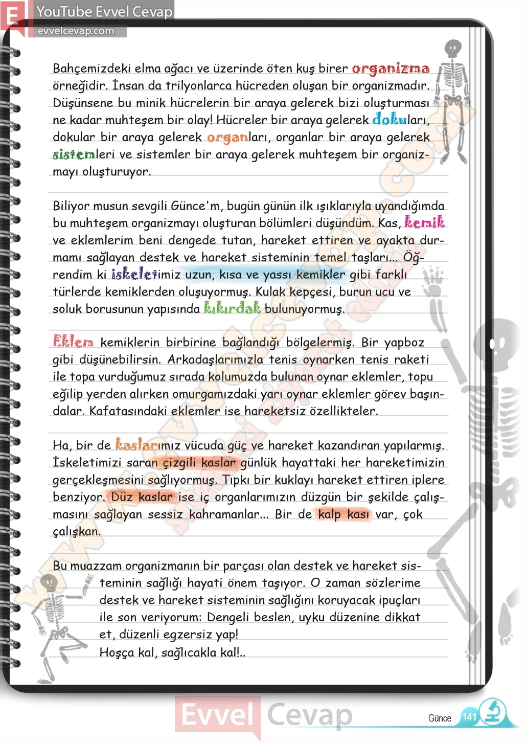 5-sinif-fen-bilimleri-ders-kitabi-cevaplari-meb-yayinlari-1-kitap-sayfa-141-2026