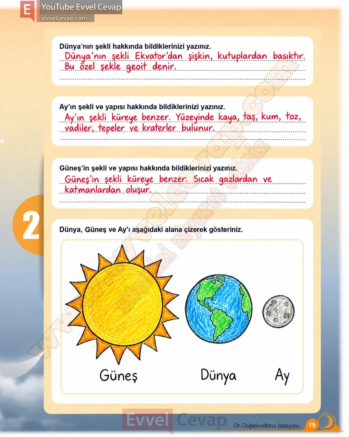 5-sinif-fen-bilimleri-ders-kitabi-cevaplari-meb-yayinlari-1-kitap-sayfa-19-2026