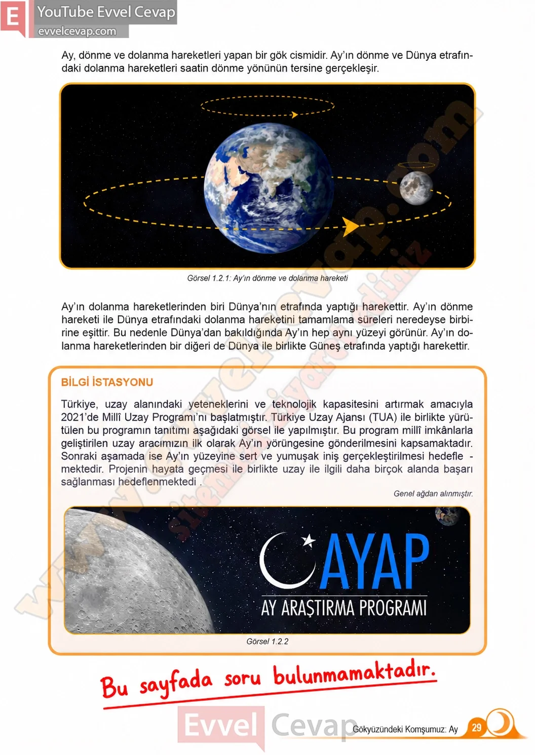 5-sinif-fen-bilimleri-ders-kitabi-cevaplari-meb-yayinlari-1-kitap-sayfa-29-2026