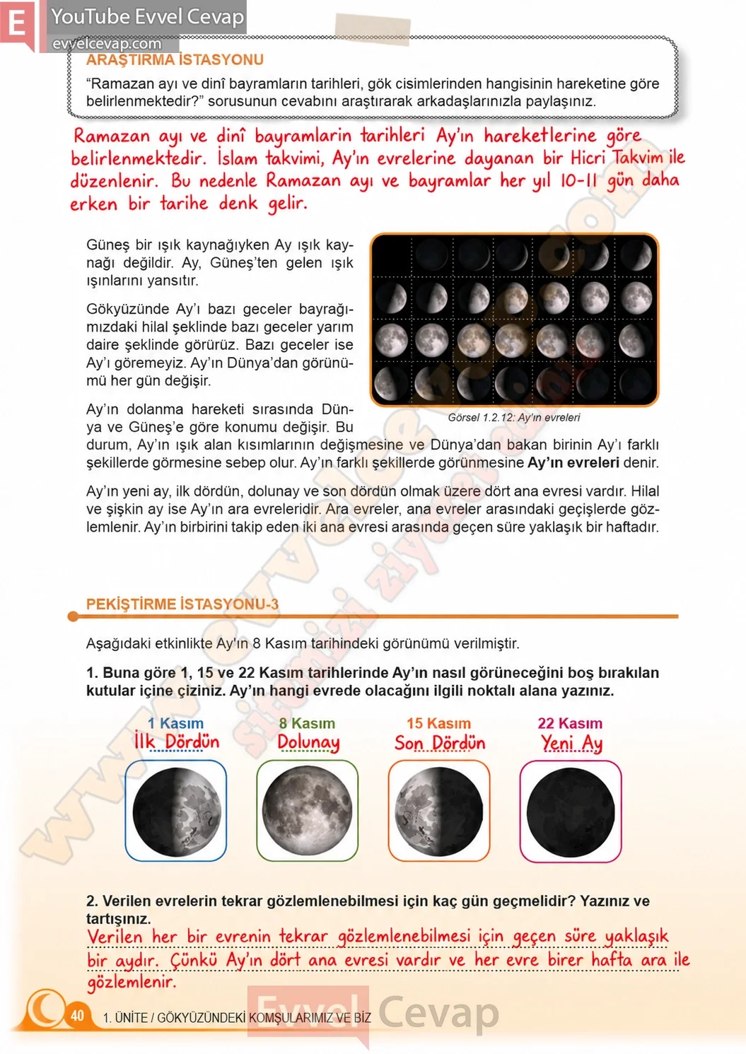 5-sinif-fen-bilimleri-ders-kitabi-cevaplari-meb-yayinlari-1-kitap-sayfa-40-2026