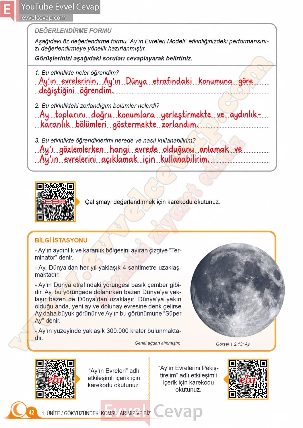5-sinif-fen-bilimleri-ders-kitabi-cevaplari-meb-yayinlari-1-kitap-sayfa-42-2026