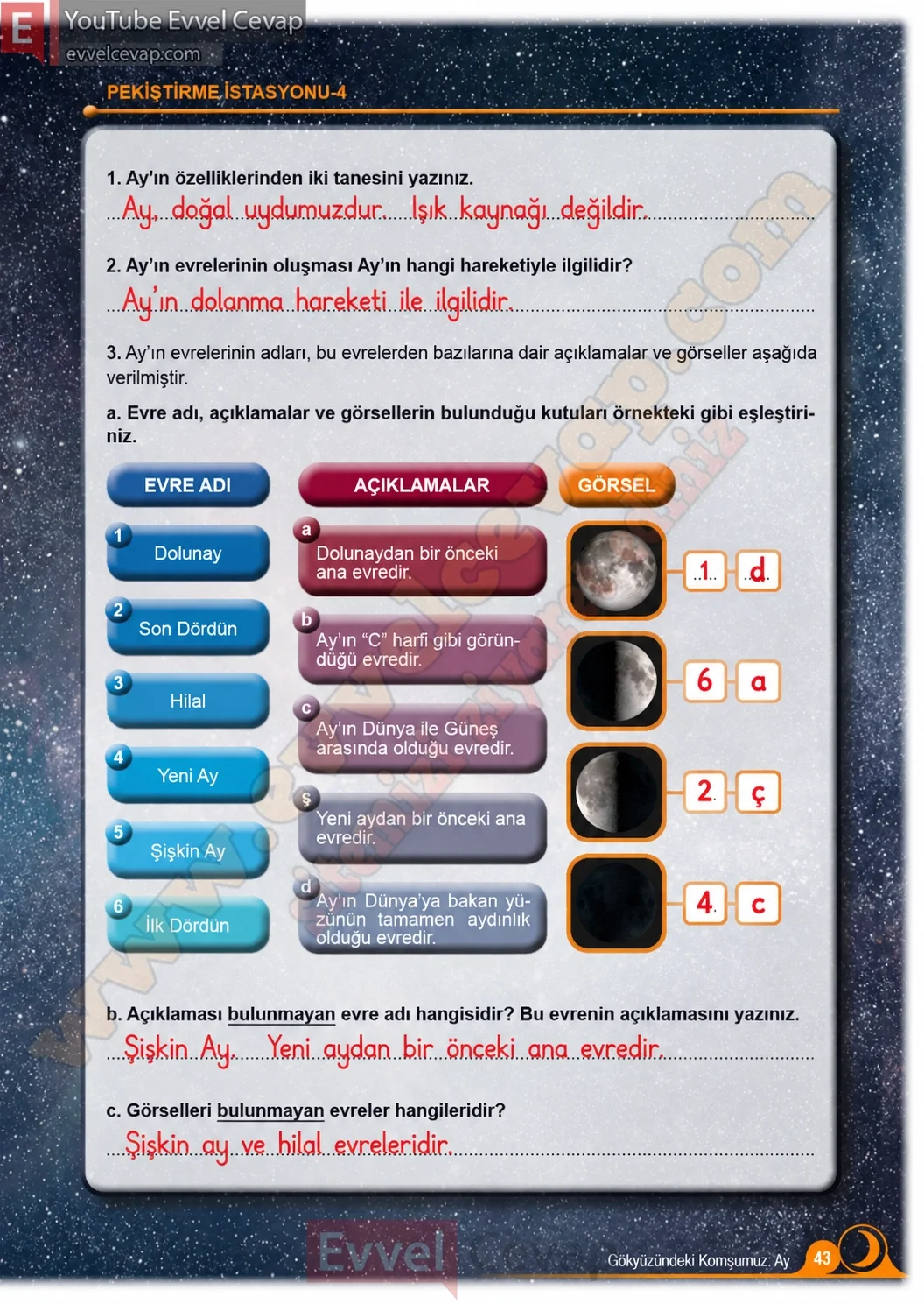 5-sinif-fen-bilimleri-ders-kitabi-cevaplari-meb-yayinlari-1-kitap-sayfa-43-2026