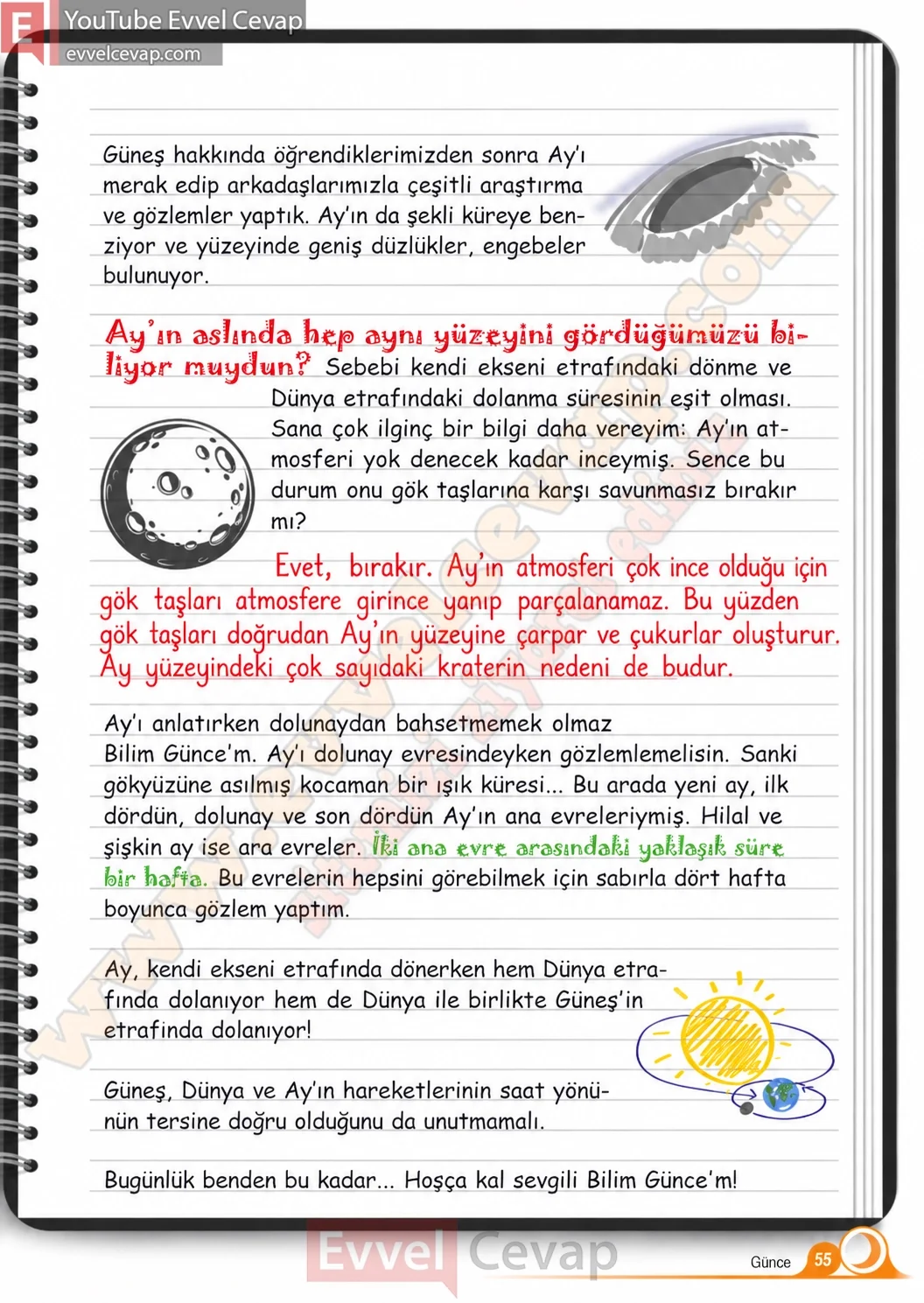 5-sinif-fen-bilimleri-ders-kitabi-cevaplari-meb-yayinlari-1-kitap-sayfa-55-2026