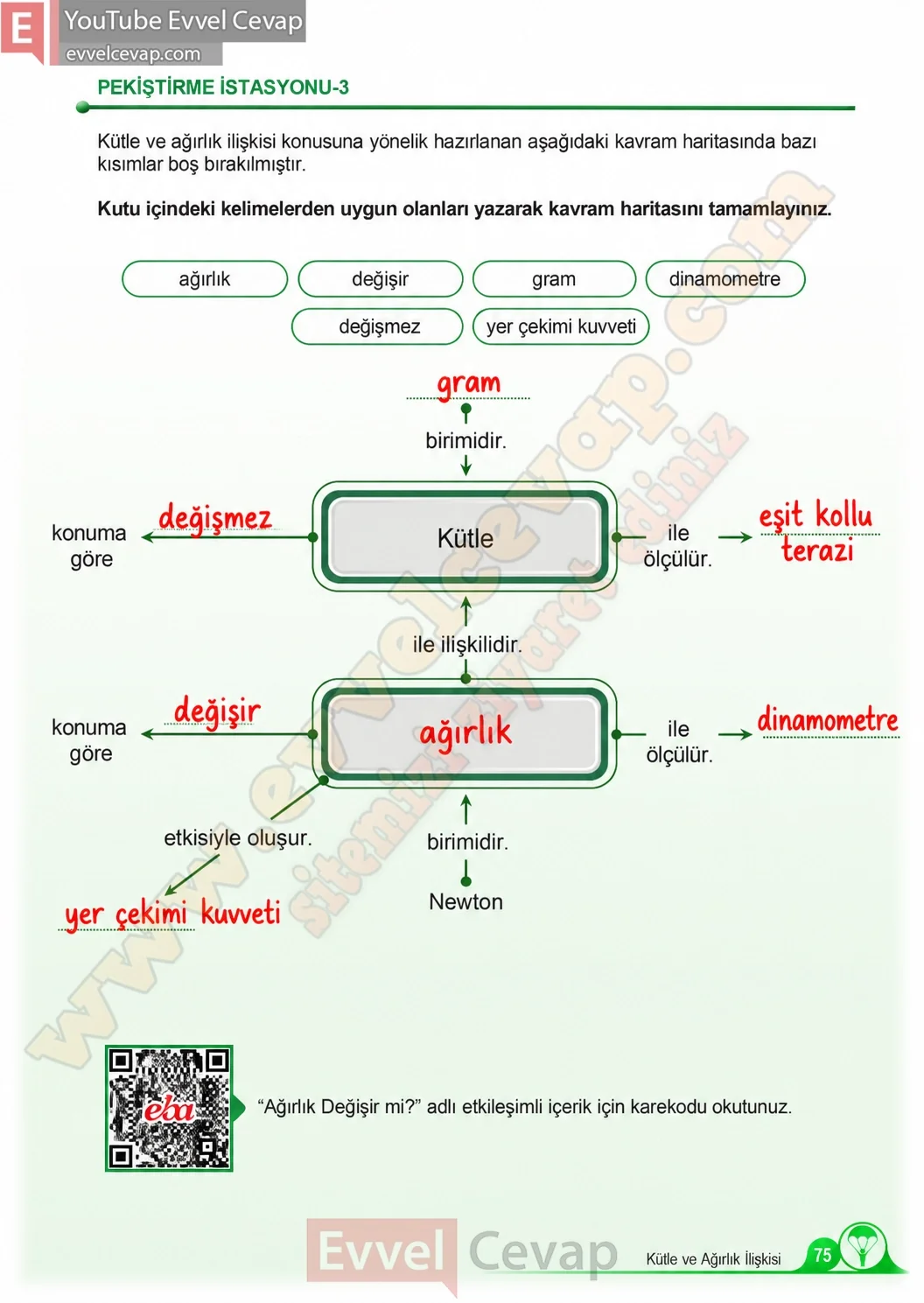 5-sinif-fen-bilimleri-ders-kitabi-cevaplari-meb-yayinlari-1-kitap-sayfa-75-2026