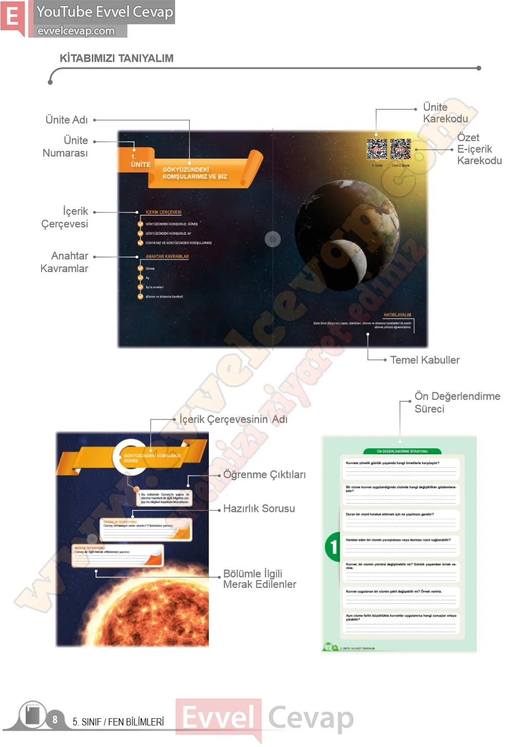5-sinif-fen-bilimleri-ders-kitabi-cevaplari-meb-yayinlari-1-kitap-sayfa-8-2026