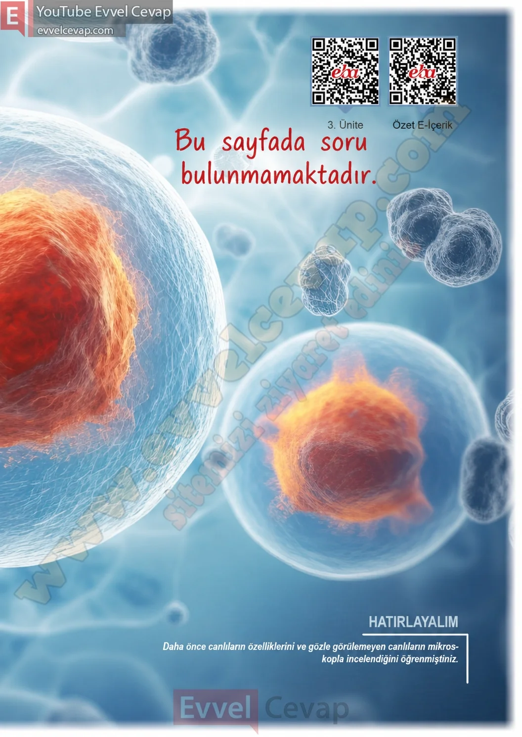 5-sinif-fen-bilimleri-ders-kitabi-cevaplari-meb-yayinlari-1-kitap-sayfa-97-2026