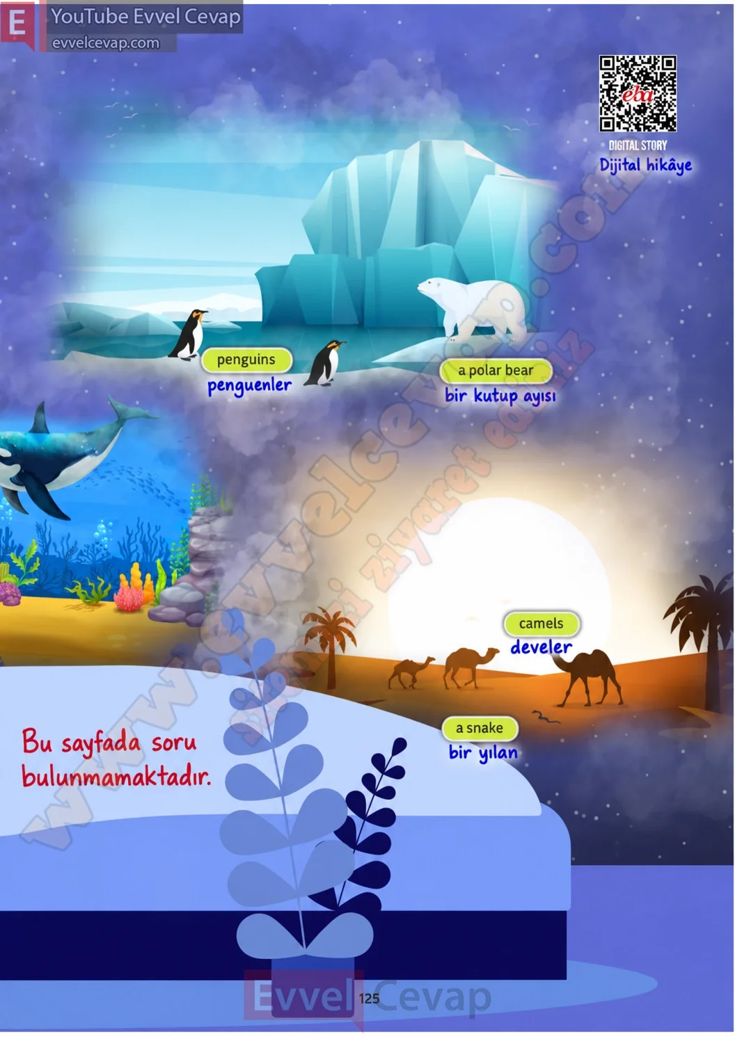 5-sinif-multi-english-book-1-cevabi-sayfa-125