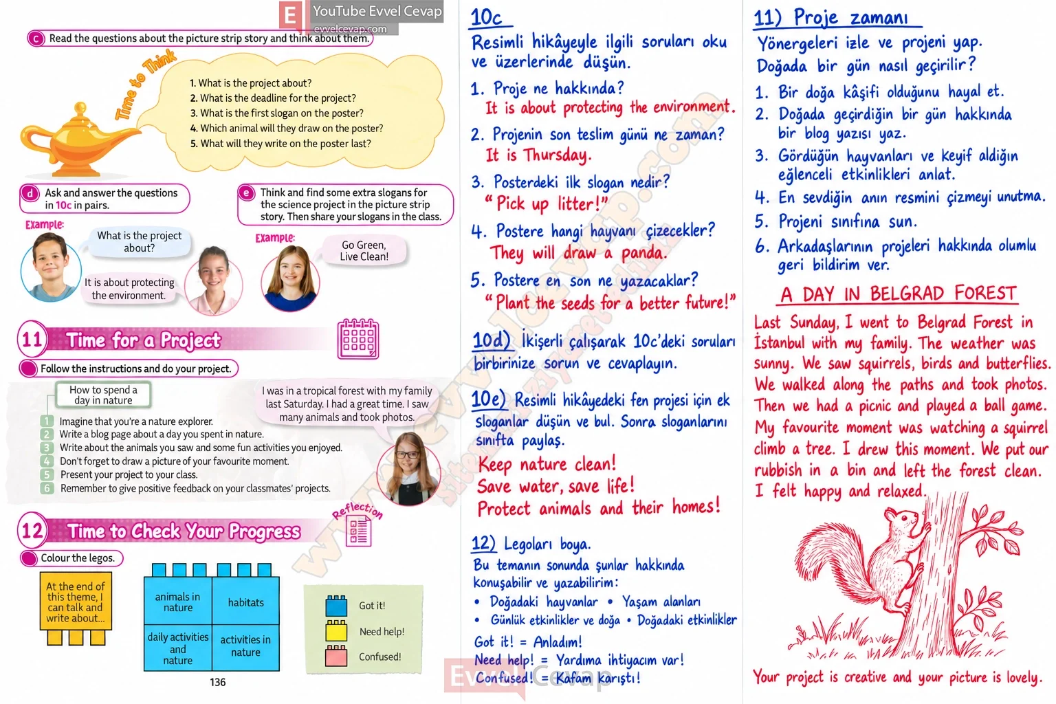 5-sinif-multi-english-book-1-cevabi-sayfa-136