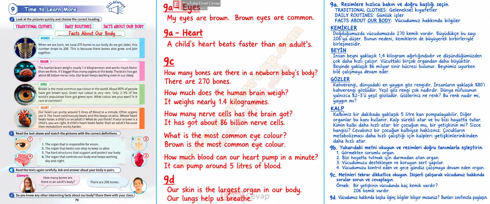 5-sinif-multi-english-book-1-cevabi-sayfa-70