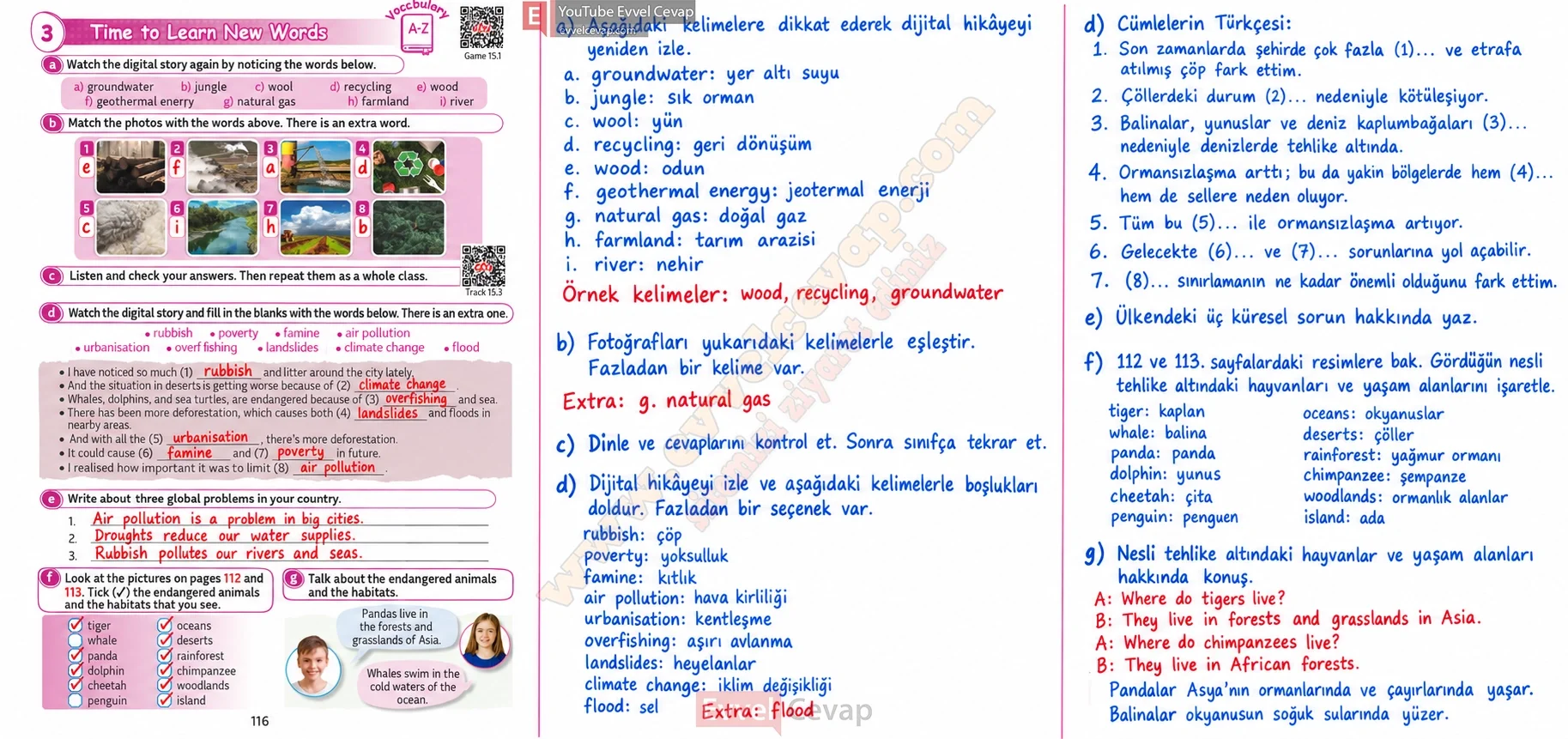 5-sinif-multi-english-book-2-cevabi-sayfa-116