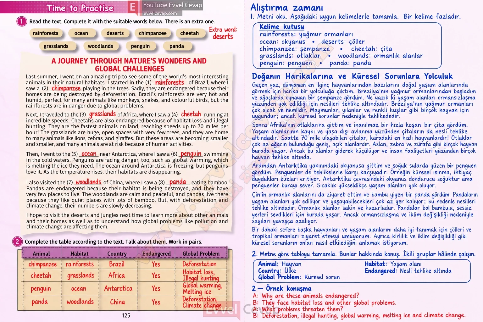 5-sinif-multi-english-book-2-cevabi-sayfa-125