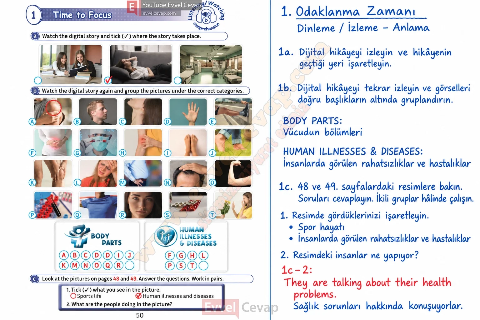 5-sinif-multi-english-book-2-cevabi-sayfa-50
