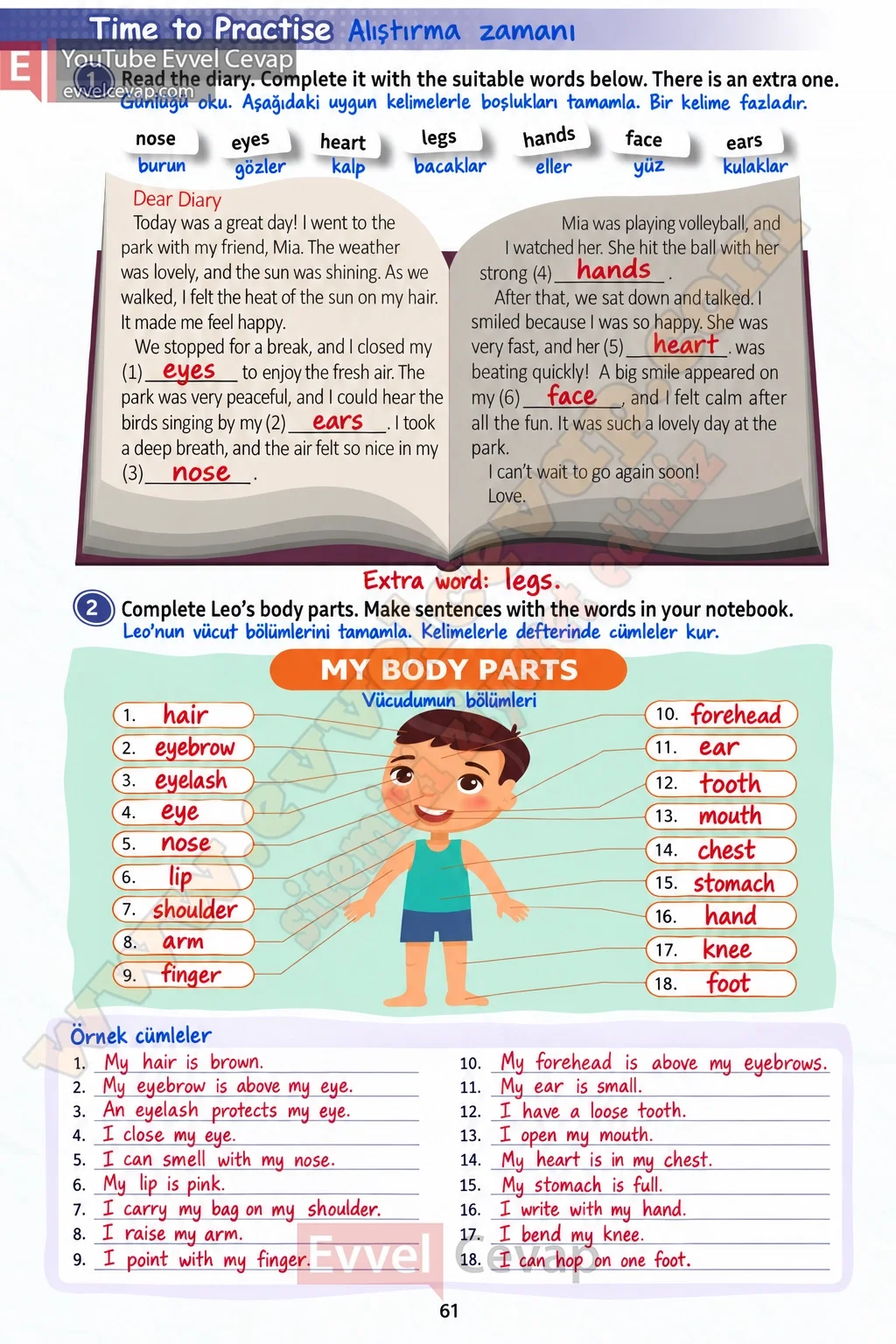 5-sinif-multi-english-book-2-cevabi-sayfa-61