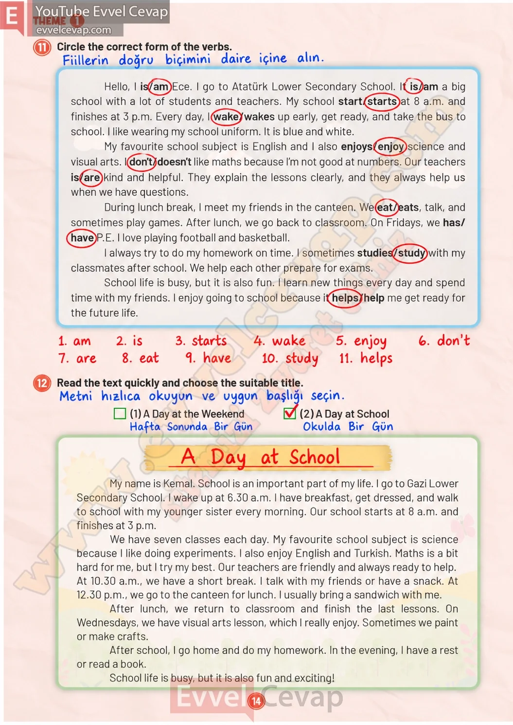 5-sinif-multi-english-workbook-1-cevabi-sayfa-14