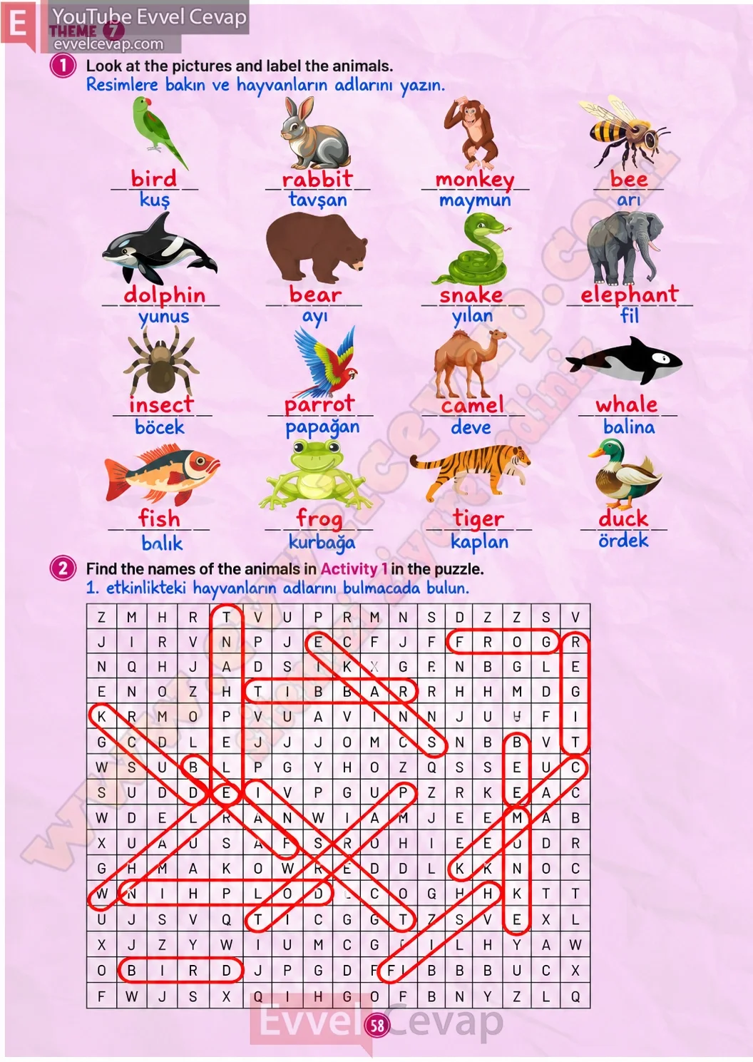 5-sinif-multi-english-workbook-1-cevabi-sayfa-58