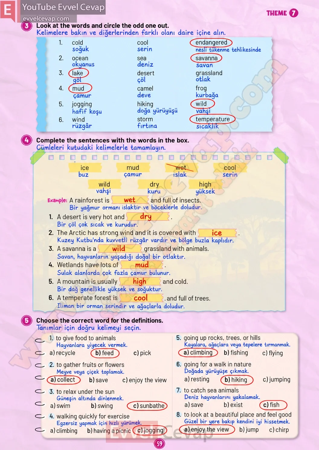 5-sinif-multi-english-workbook-1-cevabi-sayfa-59