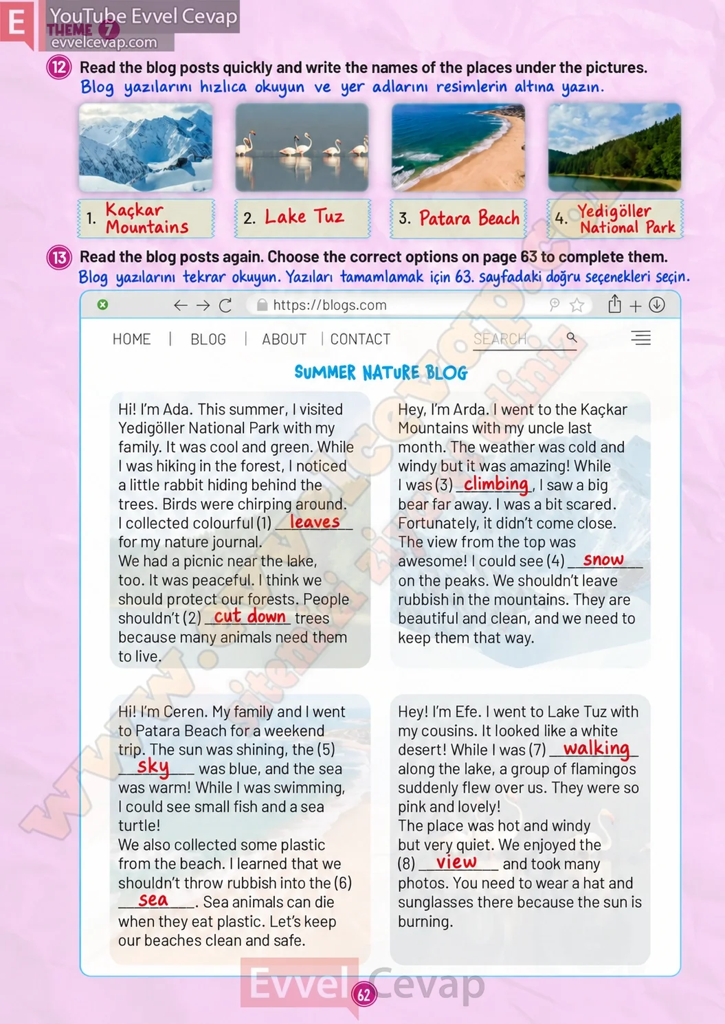 5-sinif-multi-english-workbook-1-cevabi-sayfa-62