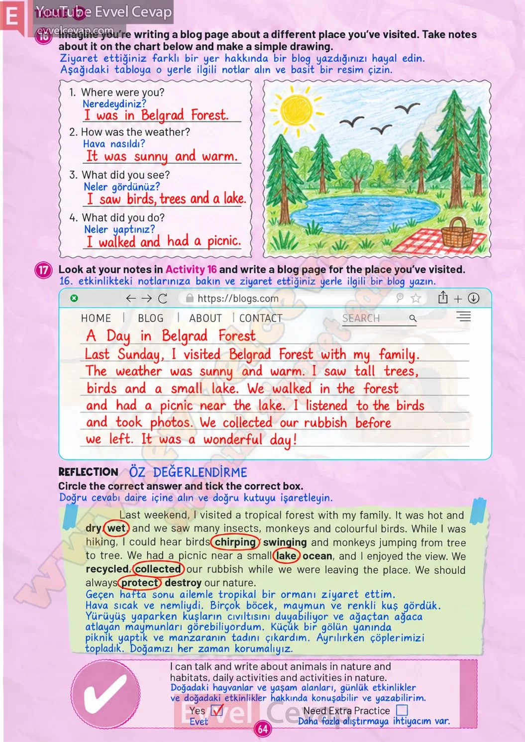 5-sinif-multi-english-workbook-1-cevabi-sayfa-64