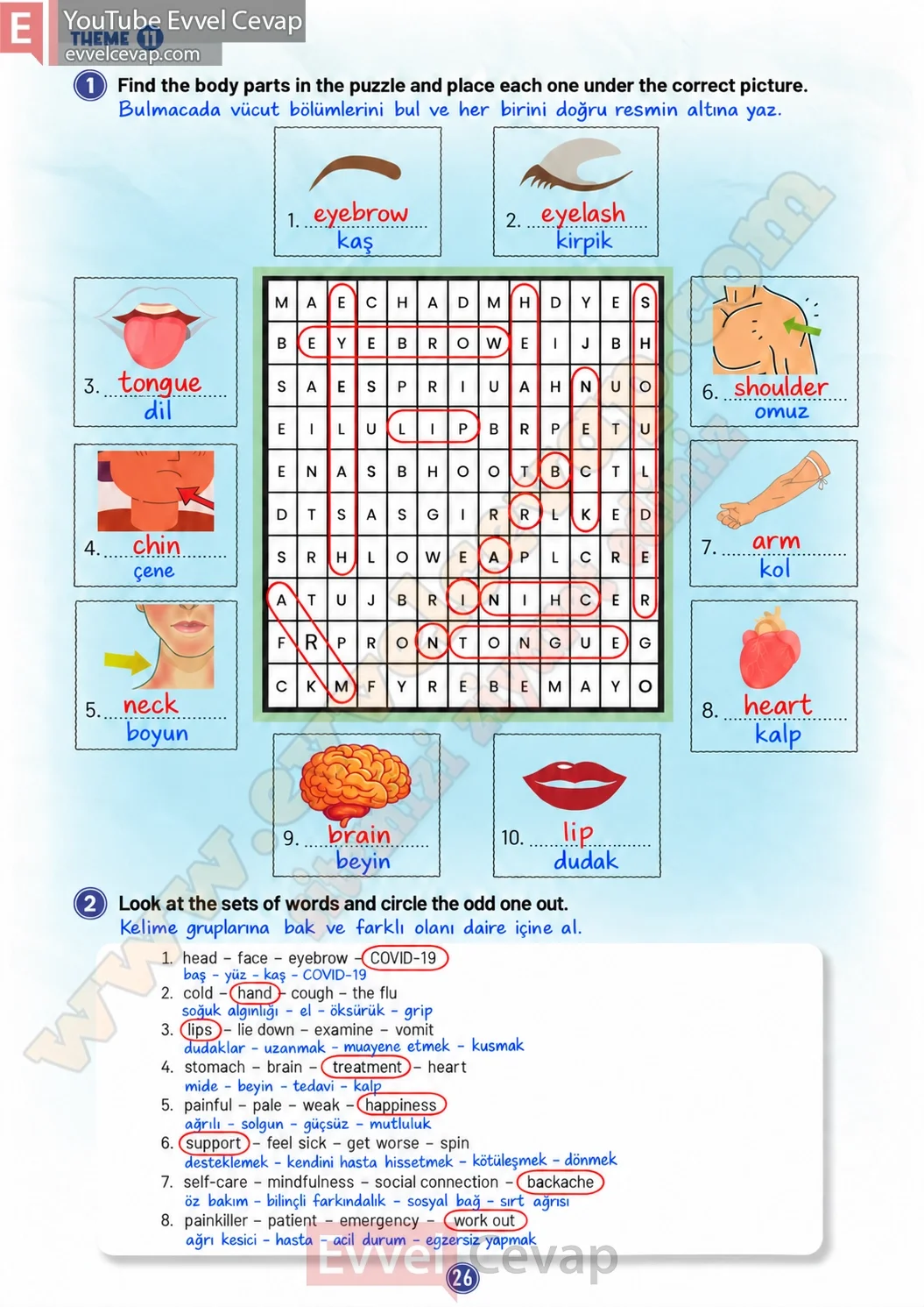 5-sinif-multi-english-workbook-2-cevabi-sayfa-26