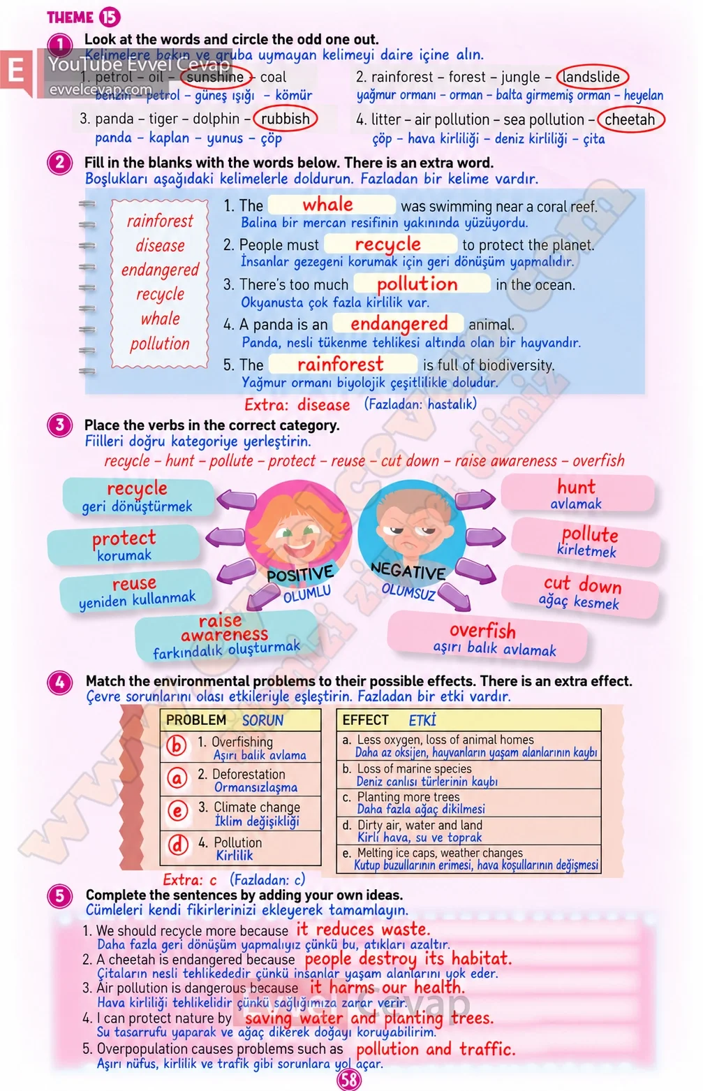 5-sinif-multi-english-workbook-2-cevabi-sayfa-58