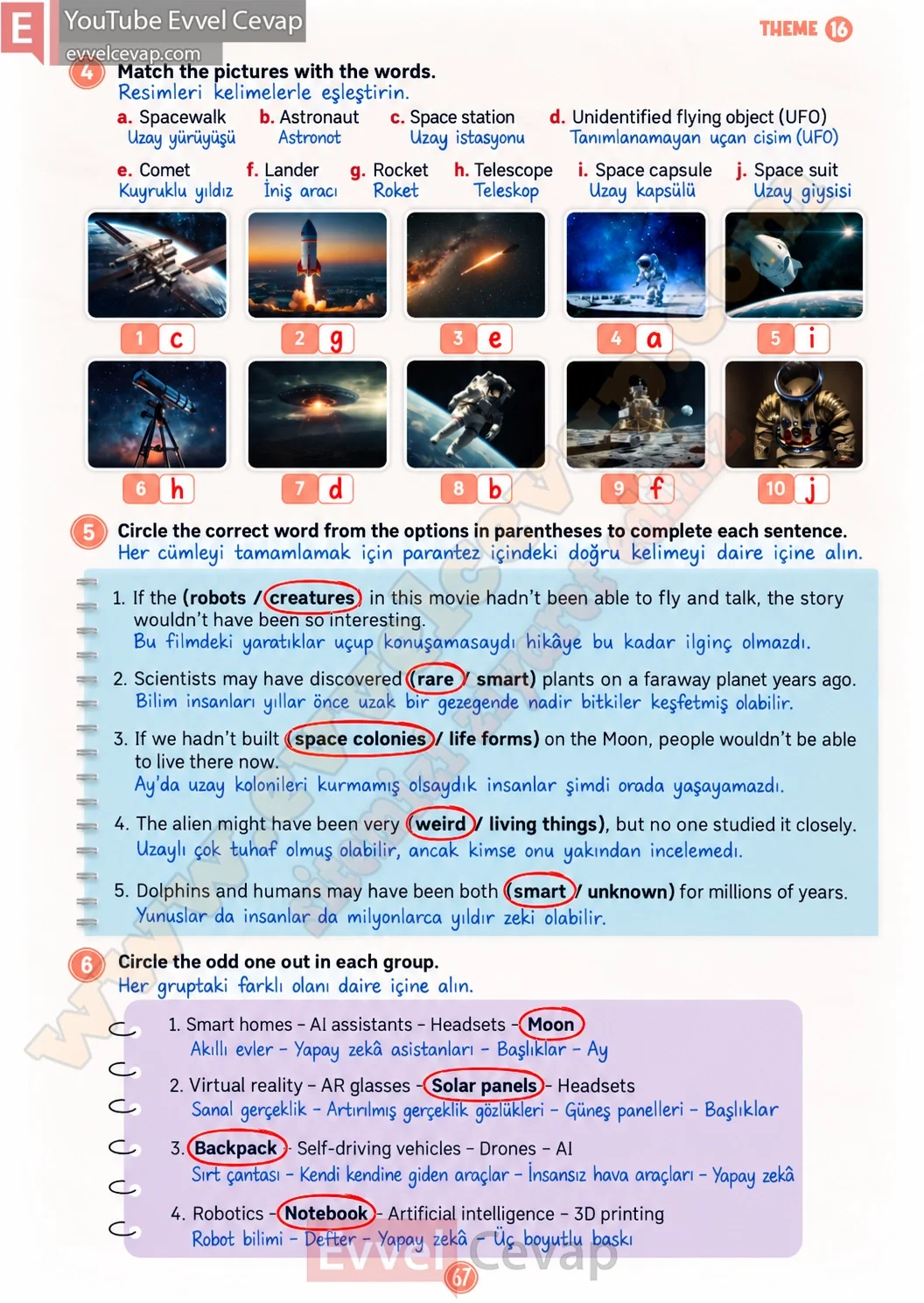 5-sinif-multi-english-workbook-2-cevabi-sayfa-67